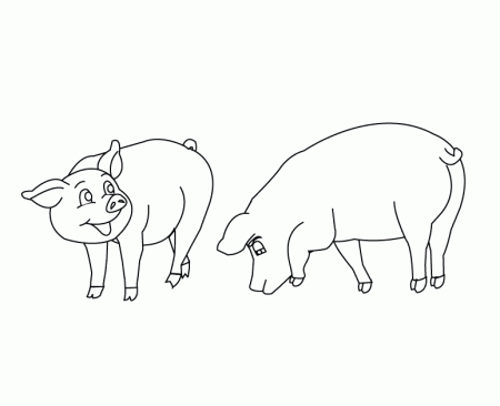 Coloring Pages - Pigs