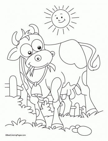 Sun Bathing With Grass Eating Cow Coloring Page