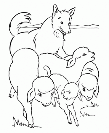 Farm Animal Coloring Pages | Flock of Sheep Coloring Page and Kids 