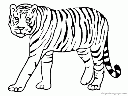 Tiger Coloring Pages - Free Coloring Pages For KidsFree Coloring 