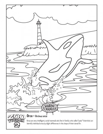 orca Colouring Pages (page 3)