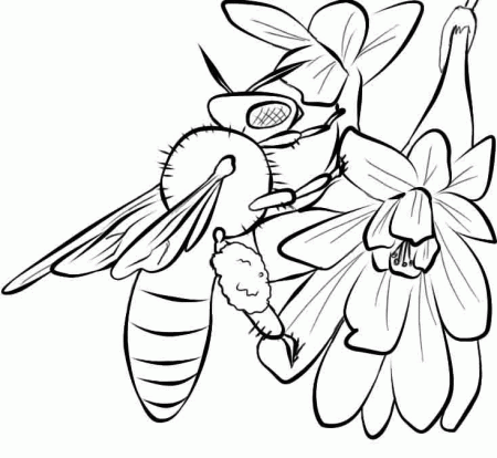 Honey Bee Coloring Page