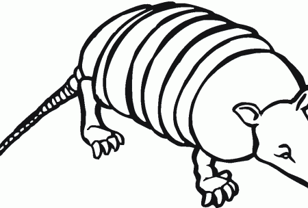 Armadillo Coloring Sheet - Kids Colouring Pages