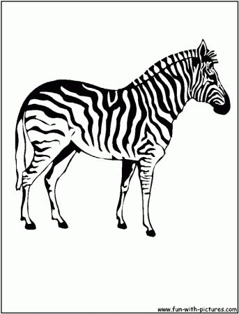 Zebra Coloring Pages | 99coloring.com