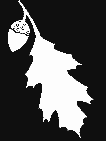 Leaf2 Simple-shapes Coloring Pages & Coloring Book