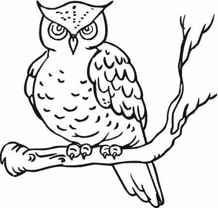 Coloring Pages Of Owls - HD Printable Coloring Pages