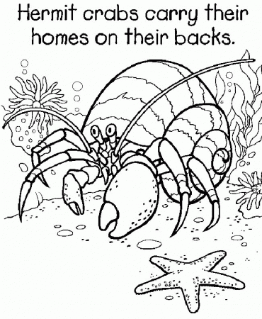Math Coloring Pages 5th Grade | Free coloring pages for kids