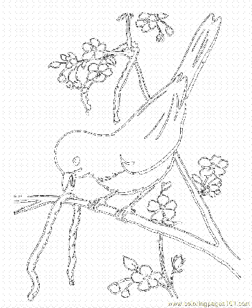 Coloring Pages Birds6 (Animals > Birds) - free printable coloring 