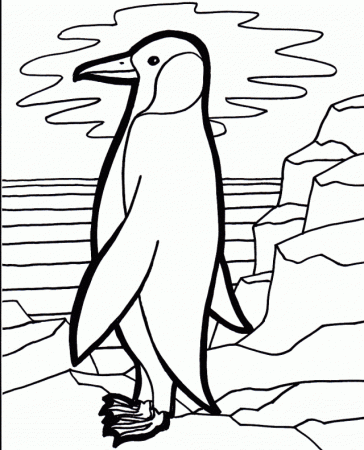 Penguin Coloring Pages Coloring Book Area Best Source For 294367 