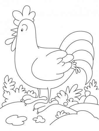 cartoon rooster Colouring Pages (page 2)