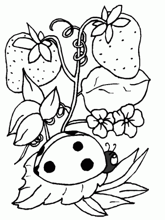 Coloring Pages Of Ladybugs | Best Coloring Pages