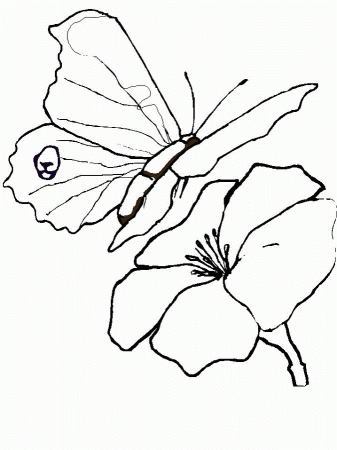 Spring Coloring Pages SPRING TIME! Free Printable Coloring Pages 