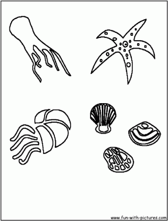 Sea Animals Colouring Pages Ocean Coloring Tattoo Page 4 62676 Sea 