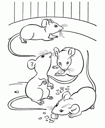 mouseanimals Colouring Pages (page 3)