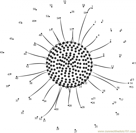 Connect the Dots Daisy (Flowers > Daisy) - dot to dots for kids