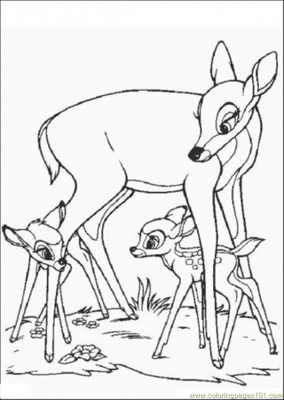 From Bambi Owl Thumper And Flower Cartoons Bambi Free Coloring 