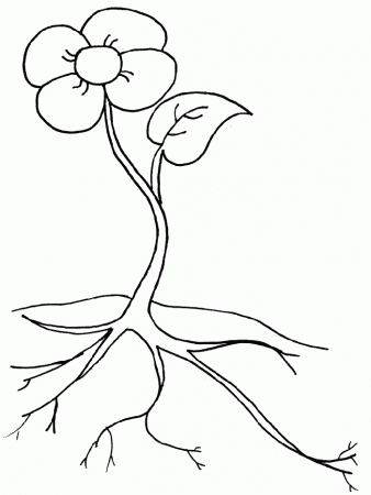 Flower - Flower Coloring Pages : Coloring Pages for Kids 