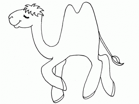 Camel Coloring Pages - Coloringpages1001.