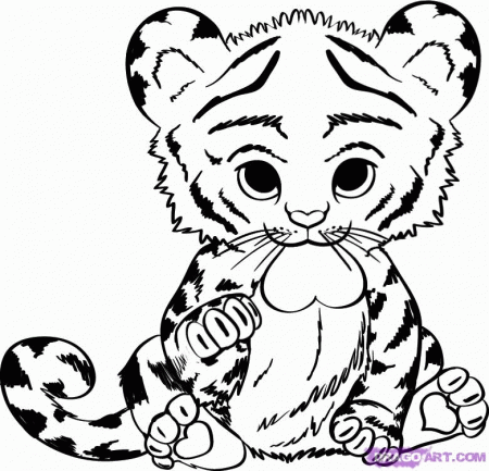 Cute Tiger Drawing