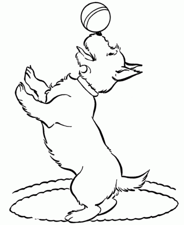 Prairie-Dog-Coloring-PageFree coloring pages for kids | Free 