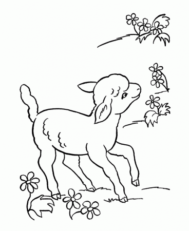 print out donkey shrek coloring pages for kids printable