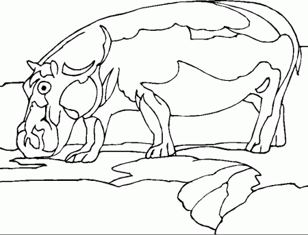 Hippo Coloring Pages - Coloringpages1001.