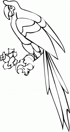 Parrot Colouring Pages Parrot Coloring Pages Printable Coloring 
