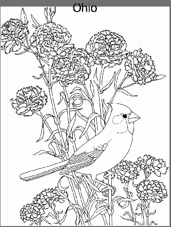 Coloring Pages Flowers Birds 243 | Free Printable Coloring Pages