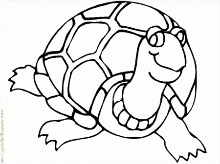 Free Printable Coloring Page Turtle8 Reptile Turtle