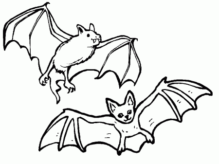 bats+halloween+coloring+page++ 