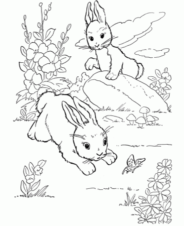 Farm Animal Coloring Pages | Printable Wild rabbits play Coloring 