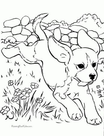 Dog Coloring Pages For Kids To Print : Color Pages For Kids To 