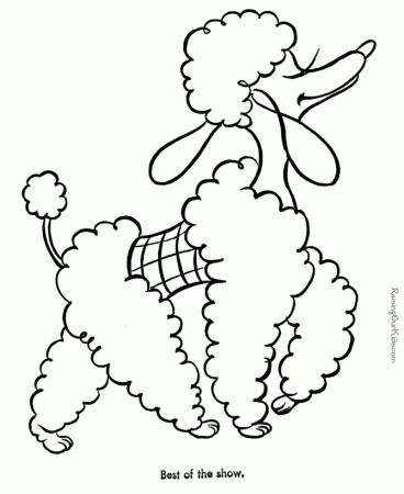 poodle | Dog Coloring Pages