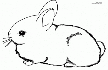Bunny Rabbit Coloring Pages - Free Coloring Pages For KidsFree 