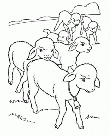 cute little Sheep Coloring Pages For Kids | Great Coloring Pages