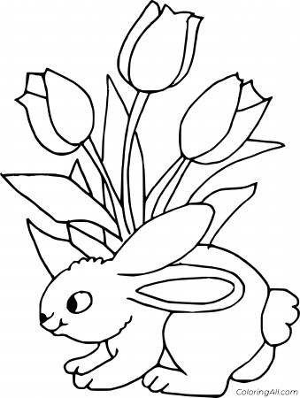 rabbit coloring pages 2014