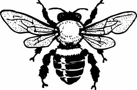 Clipartist Info Honey Bee Coloring Book Colouring SVG 264391 Bee 