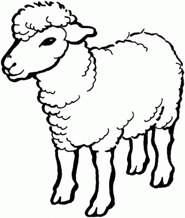 Free Printable Sheep Coloring Pages | Coloring Pages