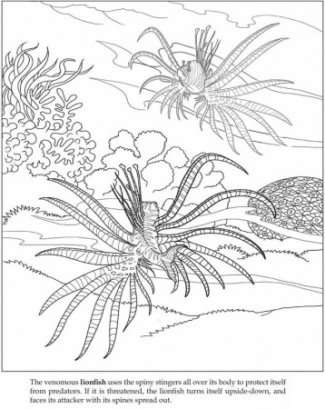 Ocean Plants Coloring Pages TruckTough