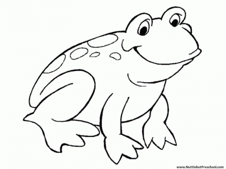 Animal Coloring Cute Frog Coloring Books For Drawing Kids Cute 