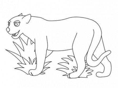 Rainforest Animals Coloring Pages Jaguar Coloring Pages For Kids 