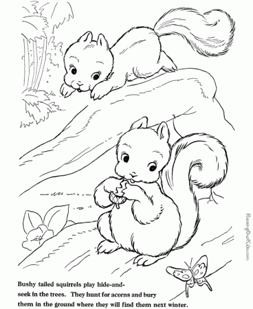farm animal coloring sheets squirrel sheet
