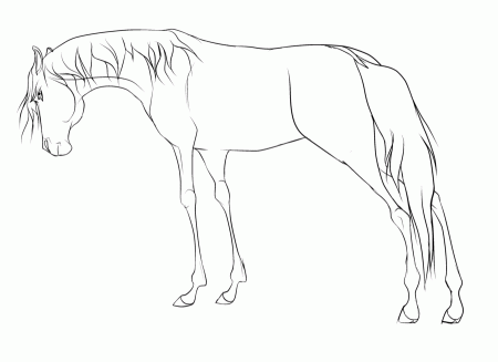 Free Horse Lineart Re-made by WolfWhisperer4Life