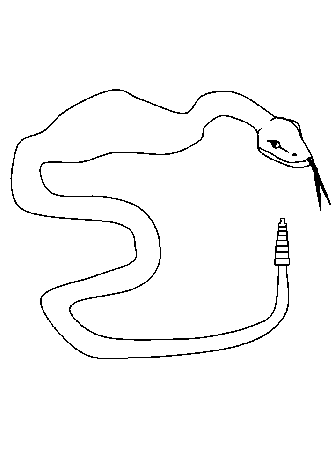 Printable Snake12 Snakes Coloring Pages - Coloringpagebook.com