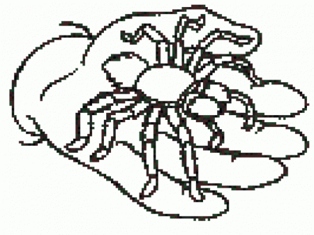 Lightbulb Books Spider Coloring Page 90317 Spider Coloring Pages 