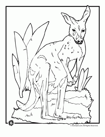yohoow Colouring Pages (page 2)