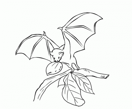 Bat Coloring Page - HD Printable Coloring Pages