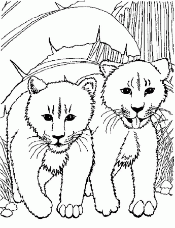 Lions Coloring Pages 9 | Free Printable Coloring Pages 