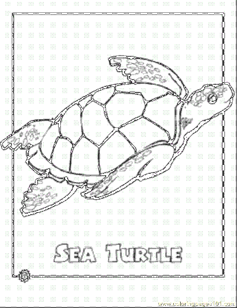 printable coloring page endangered sea turtle reptile