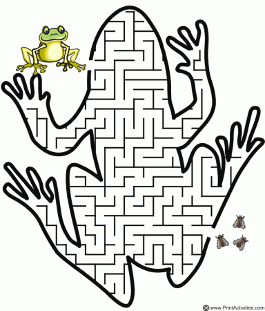Frog Maze